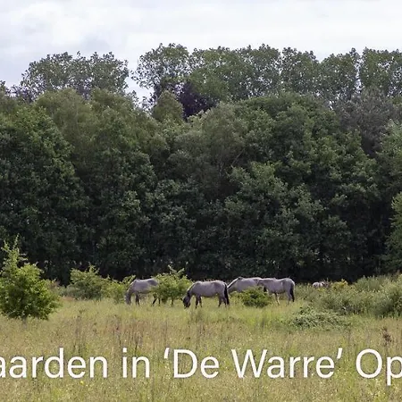 Hytte Vakantiewoning Heidebos In Het Nationaal Park Hoge Kempen