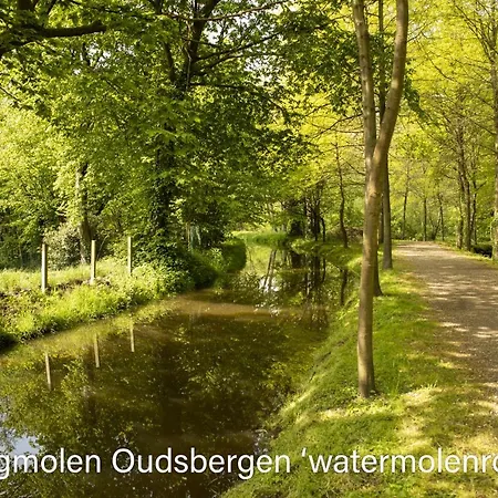 Vakantiewoning Heidebos In Het Nationaal Park Hoge Kempen Opglabbeek