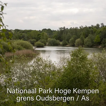 Vakantiewoning Heidebos In Het Nationaal Park Hoge Kempen