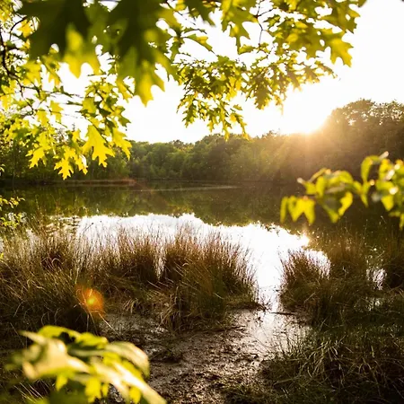 Vakantiewoning Heidebos In Het Nationaal Park Hoge Kempen Hytte Opglabbeek