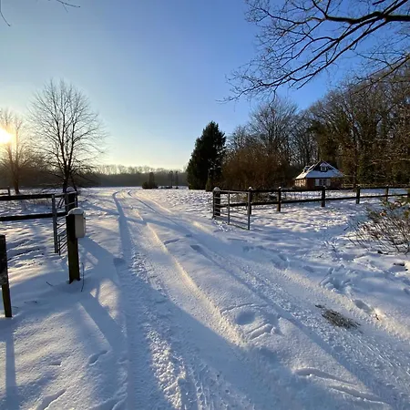 Vakantiewoning Heidebos In Het Nationaal Park Hoge Kempen Opglabbeek